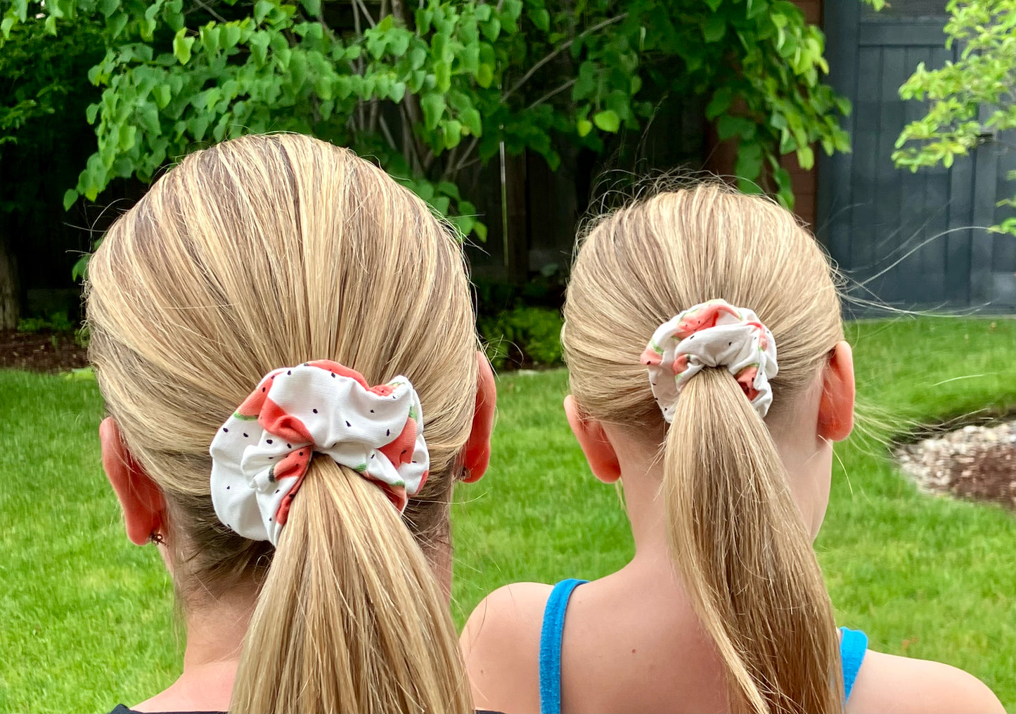 The Watermelon Scrunchie